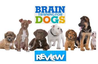🐶 Brain Training for Dogs Review 2025: Unlocking Your Dog’s Full Potential