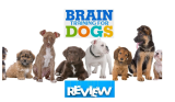 🐶 Brain Training for Dogs Review 2025: Unlocking Your Dog’s Full Potential